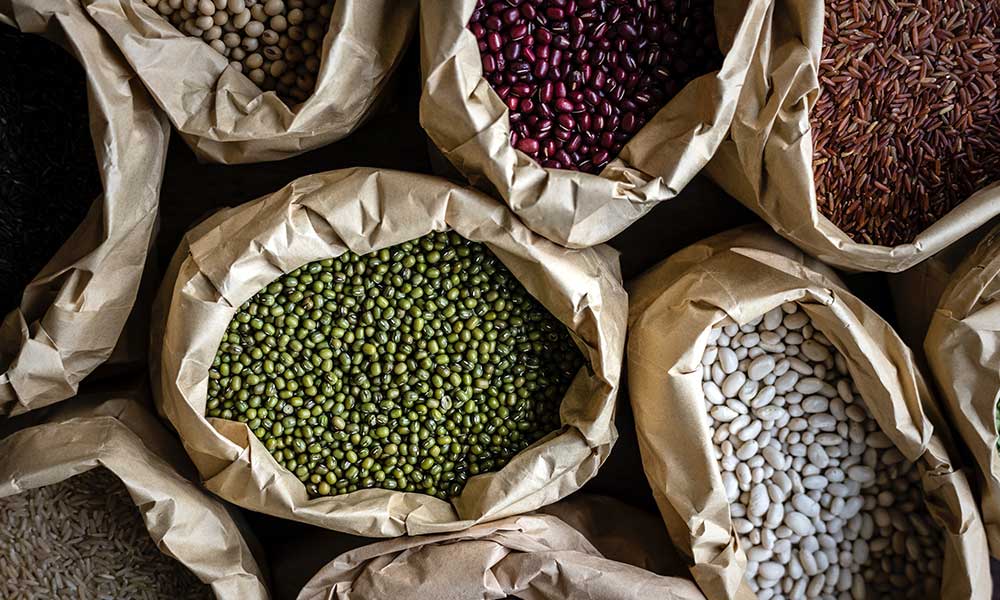 Hvorfor spise vegetariske proteiner?