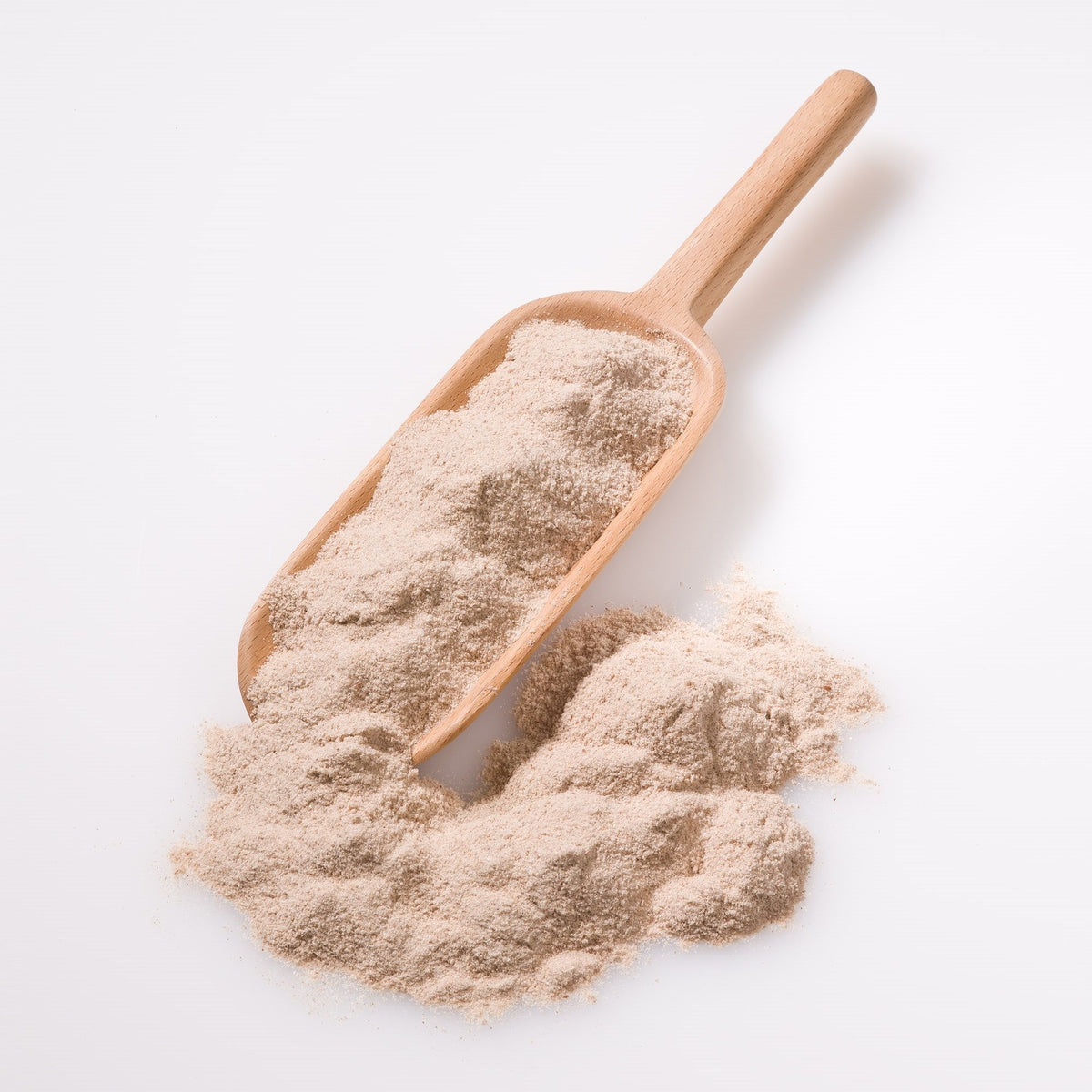 LOPPEFRØSKALLER/psyllium fint 25kg ØKO fra Biogan