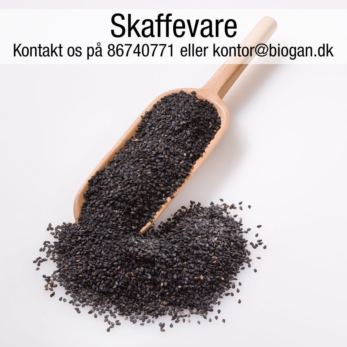 SESAMFRØ sorte 25kg ØKO fra Biogan