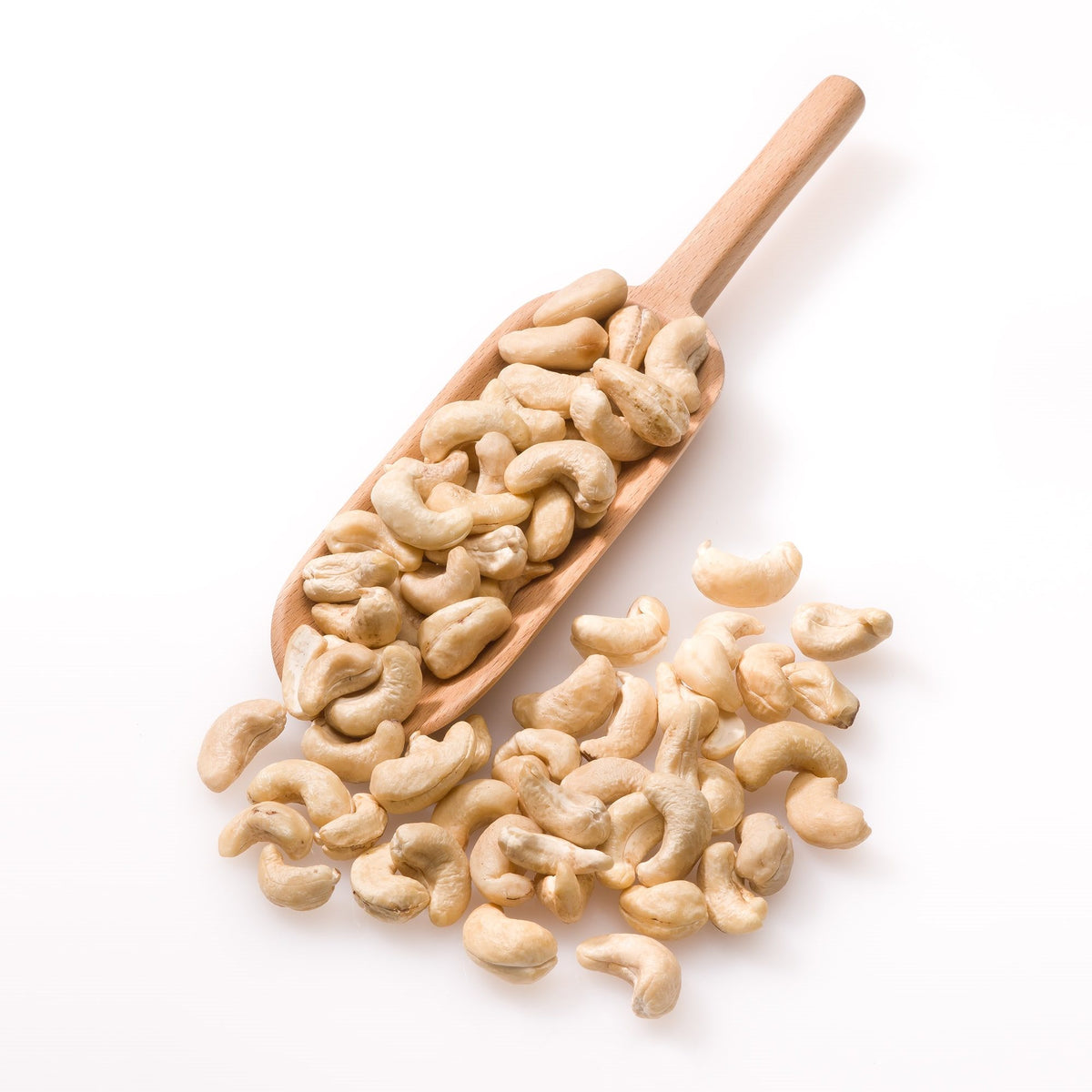 CASHEWNØDDER 22,68kg ØKO fra Biogan