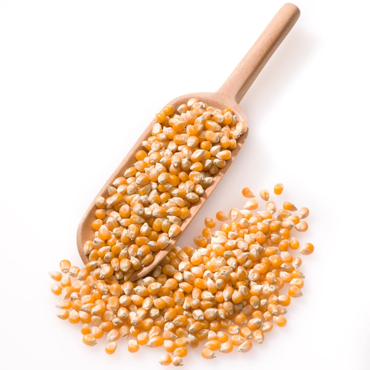 POPCORNMAJS 500g ØKO fra Biogan – billede 2