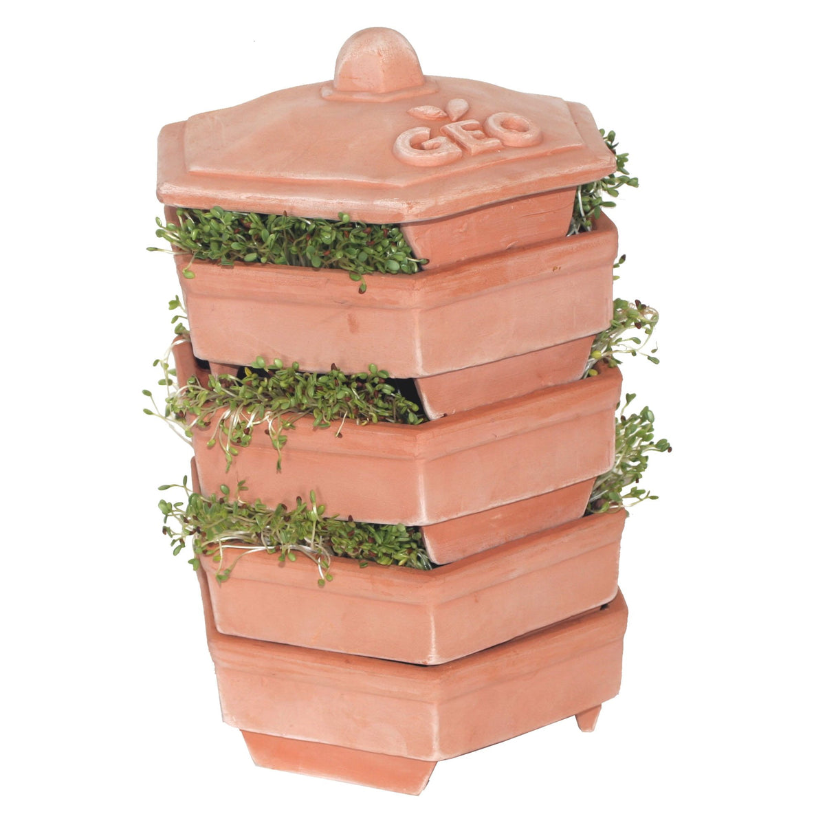Terracotta Sprouter GEO fra Biogan