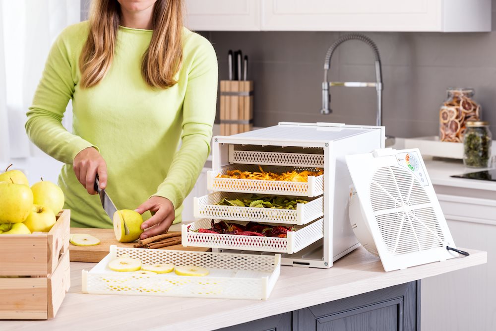 Dehydrator med 5 bakker GEO fra Biogan – billede 2