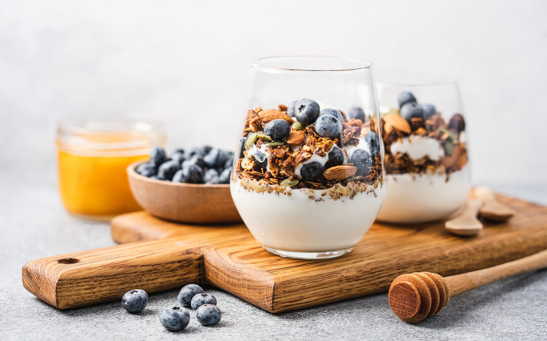 Hjemmelavet yoghurt idehydrator