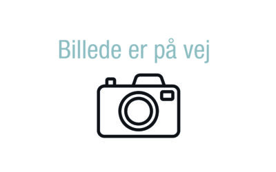 Krydret kødboller i sveske sauce